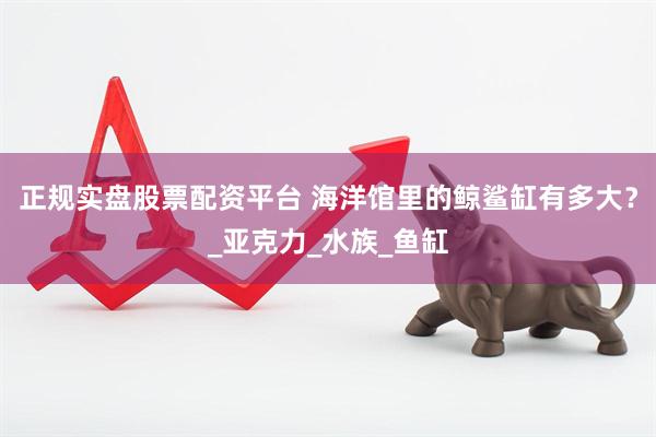 正规实盘股票配资平台 海洋馆里的鲸鲨缸有多大？_亚克力_水族_鱼缸