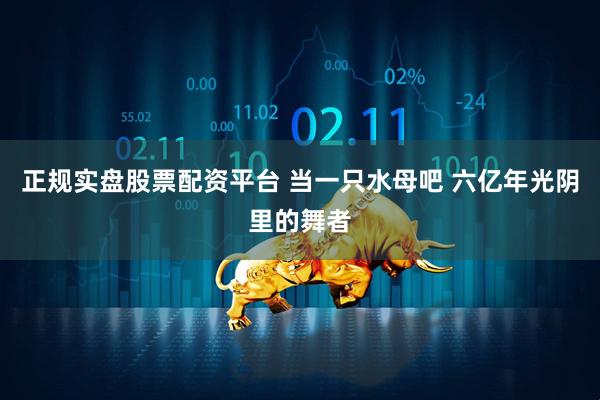 正规实盘股票配资平台 当一只水母吧 六亿年光阴里的舞者