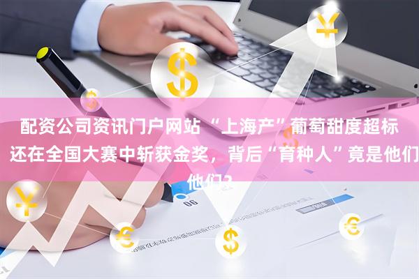 配资公司资讯门户网站 “上海产”葡萄甜度超标，还在全国大赛中斩获金奖，背后“育种人”竟是他们？
