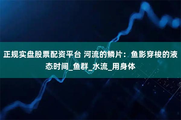 正规实盘股票配资平台 河流的鳞片：鱼影穿梭的液态时间_鱼群_水流_用身体