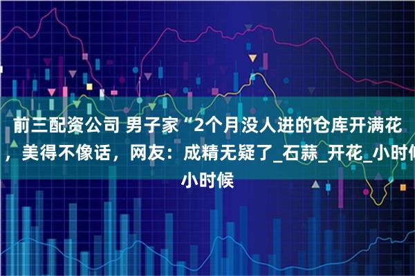 前三配资公司 男子家“2个月没人进的仓库开满花”，美得不像话，网友：成精无疑了_石蒜_开花_小时候