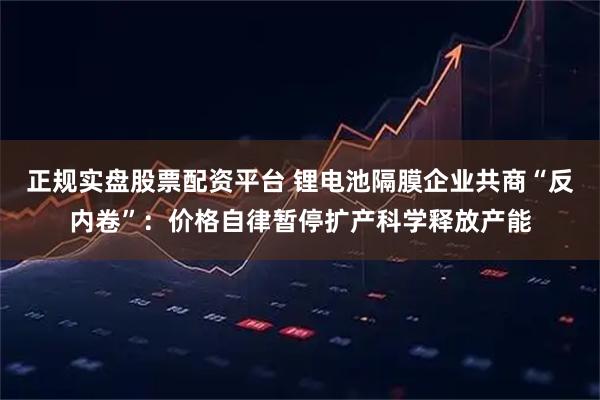 正规实盘股票配资平台 锂电池隔膜企业共商“反内卷”：价格自律暂停扩产科学释放产能