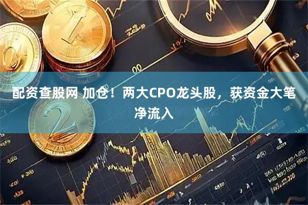 配资查股网 加仓！两大CPO龙头股，获资金大笔净流入