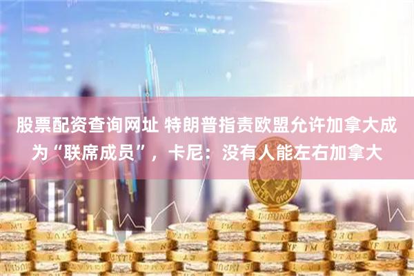 股票配资查询网址 特朗普指责欧盟允许加拿大成为“联席成员”，卡尼：没有人能左右加拿大